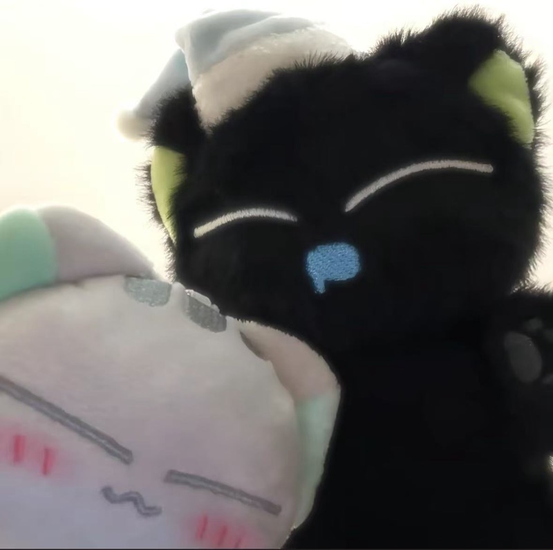 可爱的黑猫玩偶